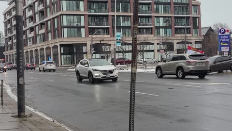 Trump Supporters In Toronto