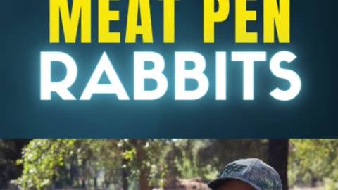 Raising Meat Pen Rabbits: A Beginner’s Guide to Sustainable Livestock