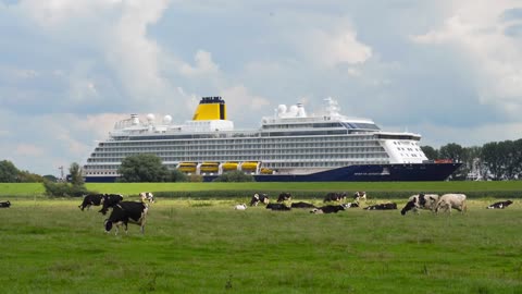 Cruise Ship on narrow River - Conveyance of SPIRIT OF ADVENTURE to the Sea