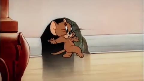 Tom & Jerry | Episode: Mouse Trouble