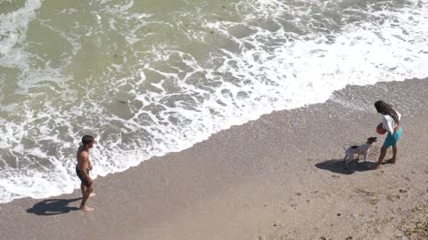 Watch the happiness of this animal (dog) to see the sea