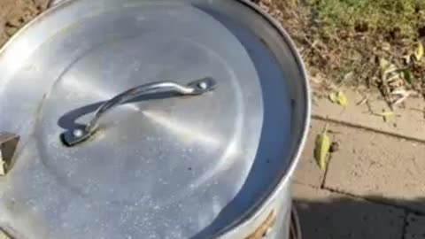 Deep fry turkey