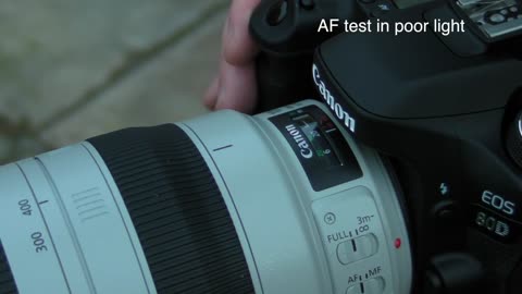 Real world AF test Canon EF 100-400 mm f_4.5-5.6L IS II USM in low light