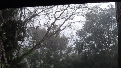 Rain in Cloud Forest El Valle de Anton Panama