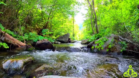 4K 🎶🌱Relaxing waterfall with natural spring water🏔️