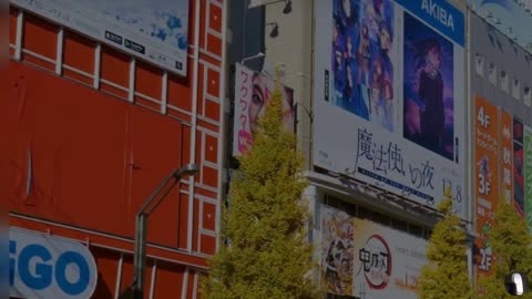 Akihabara Tokyo Japan Tour