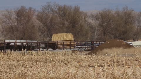 Tannerite Vs Pumpkin