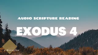 Exodus Chapter 4 - Day 54 of Walking Through The Entire Bible With Stony Kalango