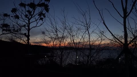 Sunset, sky, sea and trees 4
