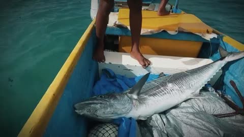 traditional fishing of Indonesian fishermen