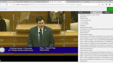 Arkansas House Rep David Ray speaks in favor of HB1368 a bill to ban scam special elections