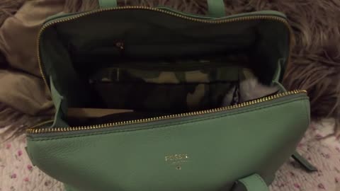 Fossil Sydney Satchel Sea Glass what's in my bag