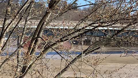 200’ Boat Dock On Flooded Kentucky River