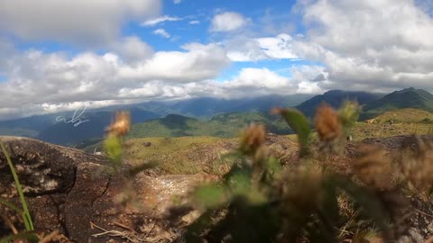 Timelapse I Ponmudi | kerala | india