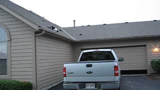 Cat stuck on Roof