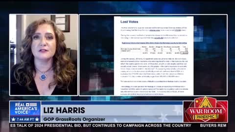 Liz Harris Reveals Shocking Details Of The Maricopa County AZ Canvass Report!