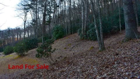 Inventive Property Solutions - #1 Land For Sale in Raleigh, NC