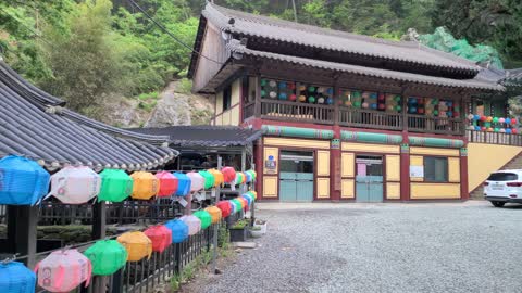 Colorful lotus lanterns to celebrate Buddha's birthday