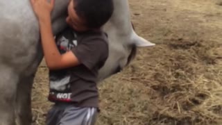 Loving Horse Gets Too Close With Young Boy
