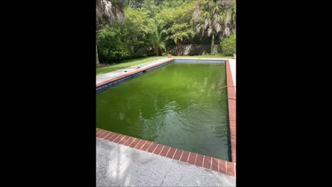 Allens Smooth Pools and Spa LLC - (985) 300-6480