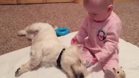 Omg..so cute a baby plating with a little puppy
