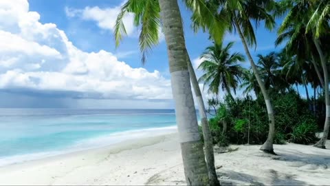 White sand beach 🏖️ landscape