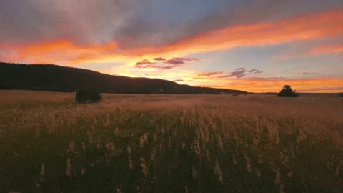 The endless fields and the sunset in the sky form a beautiful scenery!