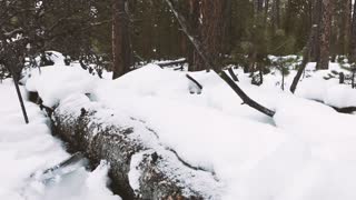 Winter Backcountry Safety in Yellowstone