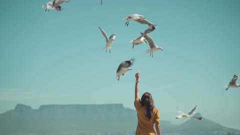 Girls feeding Seagull in slow motion