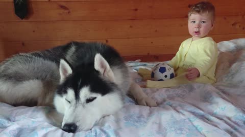 Kid and Husky learning to play football