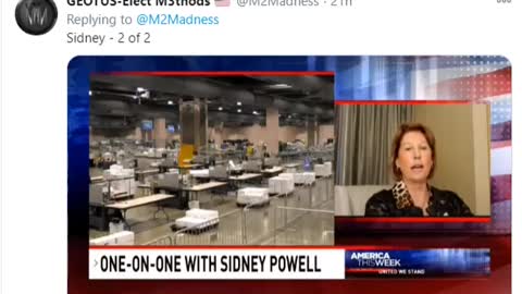 One-On-One With Sidney Powell_Prt 2