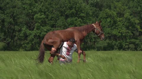 Strong man and horse