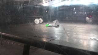 Extreme Robots Cheltenham 2019: Nessie Vs Raphael Vs Backflip Vs Jibril