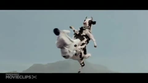 Kung pow cow fight