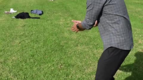 The dog catching a ball fun with zach king 😂
