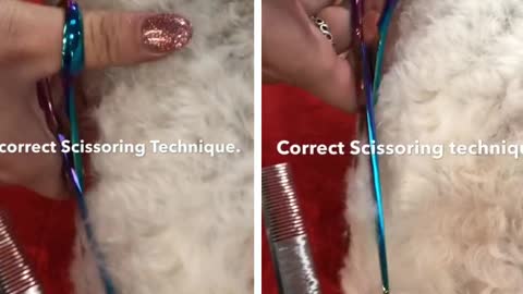 WHAT IS A GOOD SCISSORING TECHNIQUE?