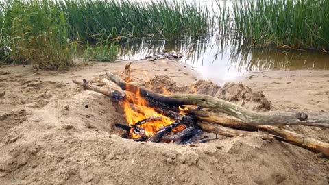 Bonfire on the beach UNIVERSE SOUND MUSIC