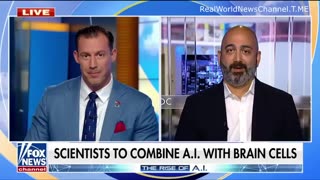 A.I. To Combine With Human Brain Cells