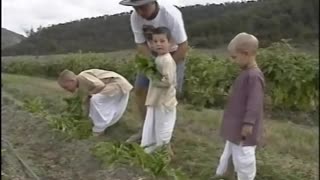 Newcastle Hare Krishna Farm - Country Report 15-4-91.