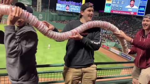 Epic beer snake collapses before security can arrive
