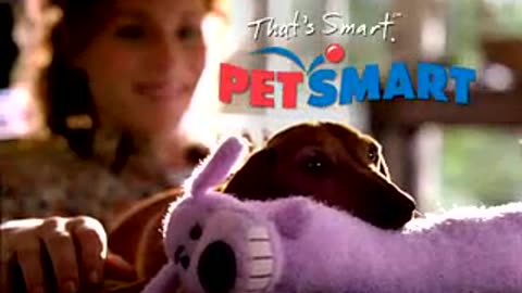 Petsmart Dachshund Commercial