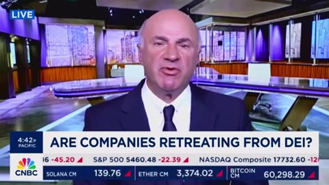 Kevin O'Leary on DEI