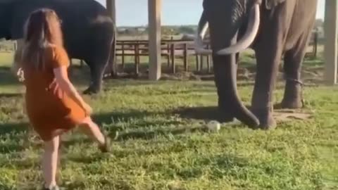 Adorable elephant 🐘 playing with girls 😍🥰