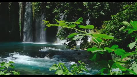 Roaring Waterfall Rain forest Rain Noice | Best Sound for Sleeping & Studing | Clevershawk
