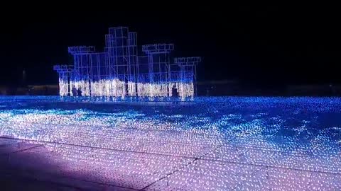 Asia Haeundae LED sea ice flower in the middle of the dolphin appearance 2~~~