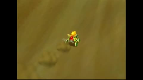 Mario Kart Double Dash Race40