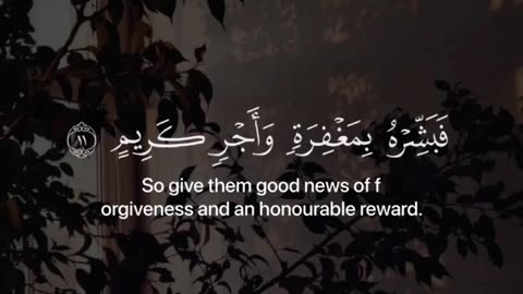 Beautiful recitation of Surah yasin ♥️ #quran