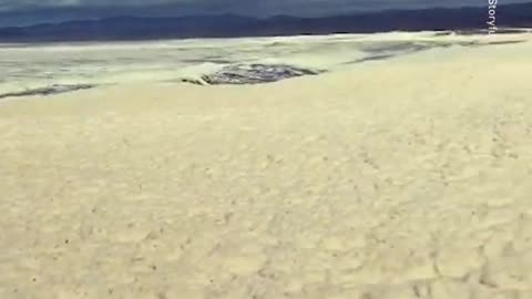 Beach Covered in Sea Foam After Storms in New South Wales #Shorts