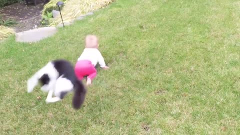 Baby and Cat Fun and Fails - Funny Baby Video