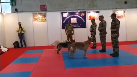CISF demonstration of Dog squad of India ||